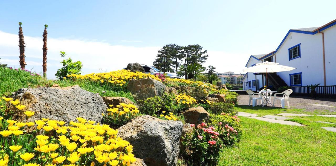 White Dream Pension Jeju Esterno foto